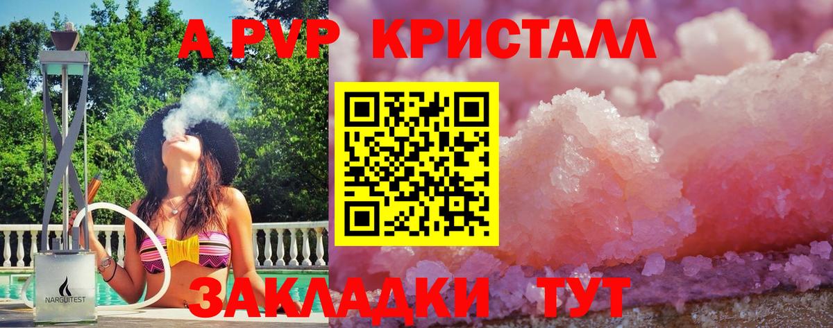 Alfa_PVP СК Курчалой
