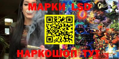 дмт Кандалакша
